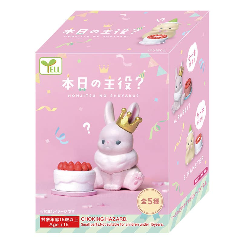 【JAPANESE BLIND BOX】THE STAR OF THE DAY?