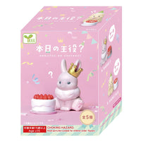 【JAPANESE BLIND BOX】THE STAR OF THE DAY?