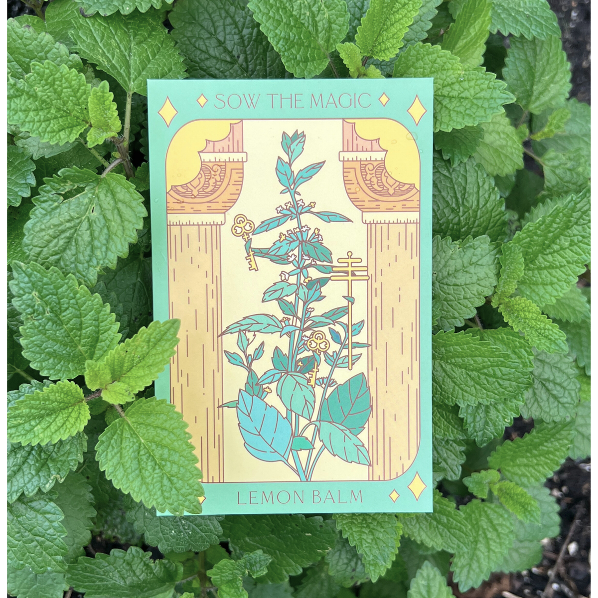 Lemon Balm Tarot Garden + Gift Seed Packet