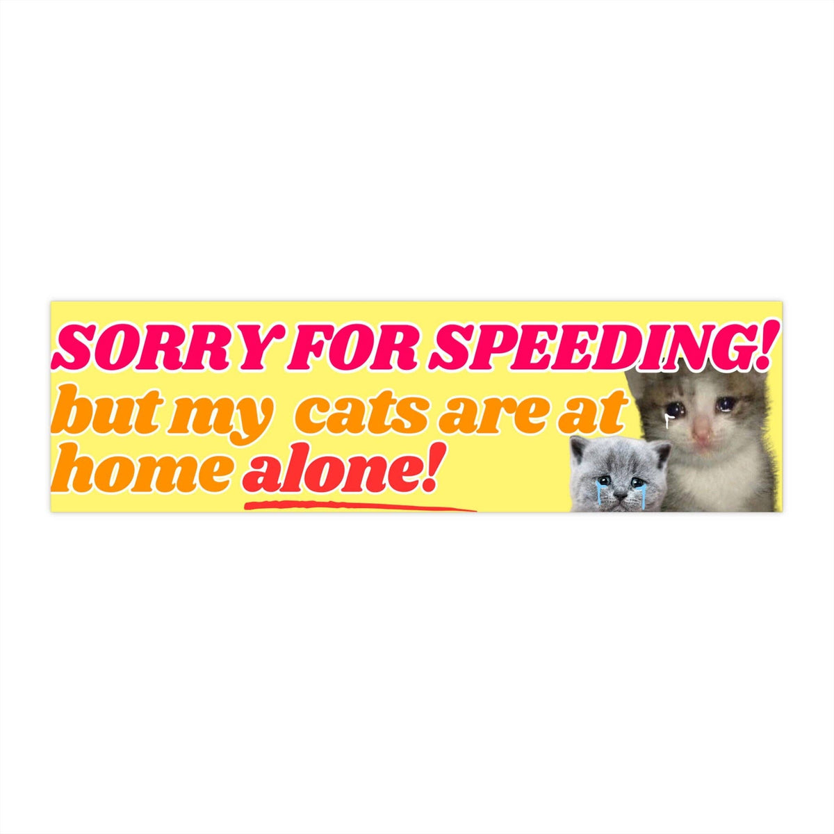 Sorry for speeding! But my cats (plural) are at home alone! Magnet