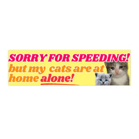 Sorry for speeding! But my cats (plural) are at home alone! Magnet