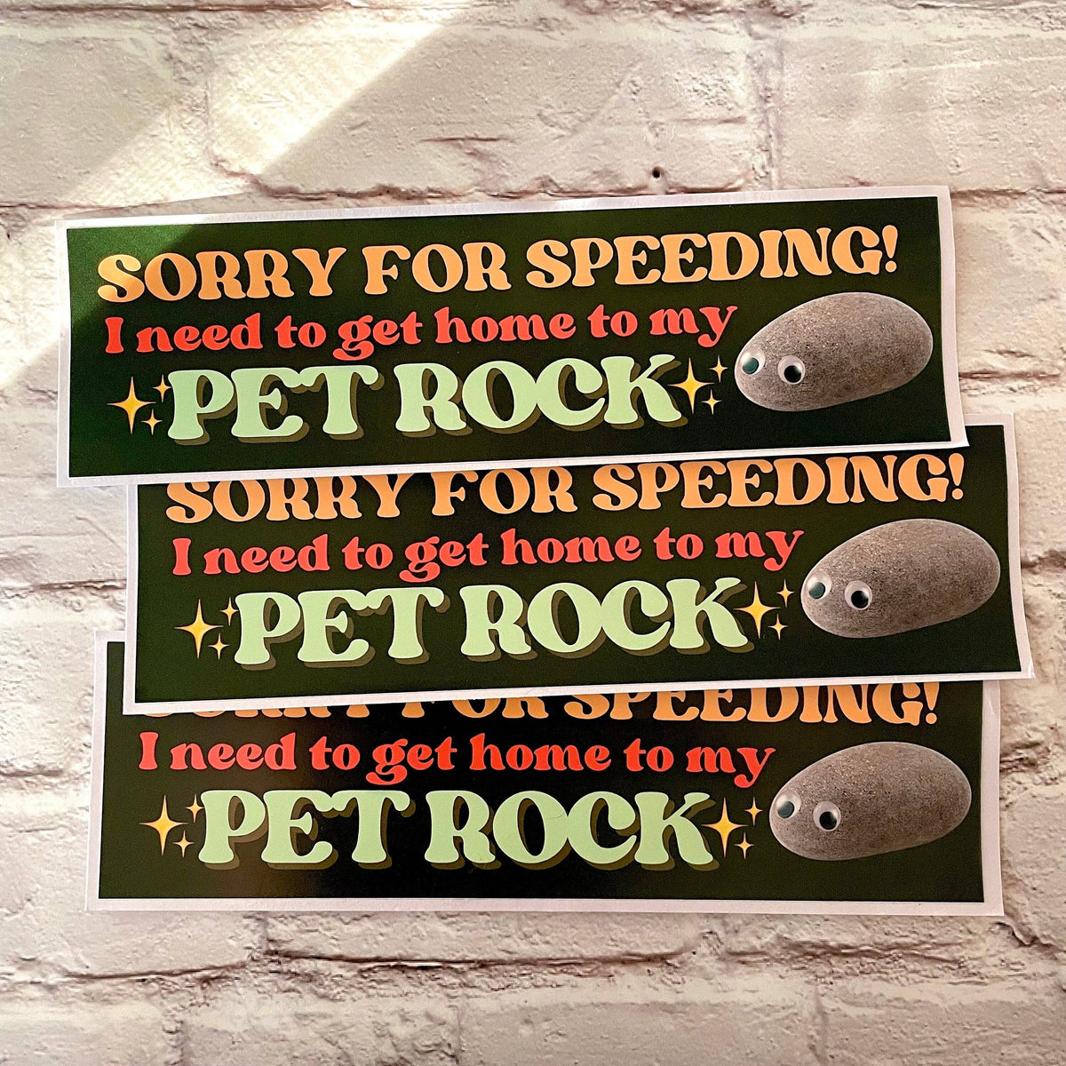 Sorry for speeding! I need to get home to my pet rock