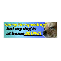 Sorry for speeding! But my dog is at home alone