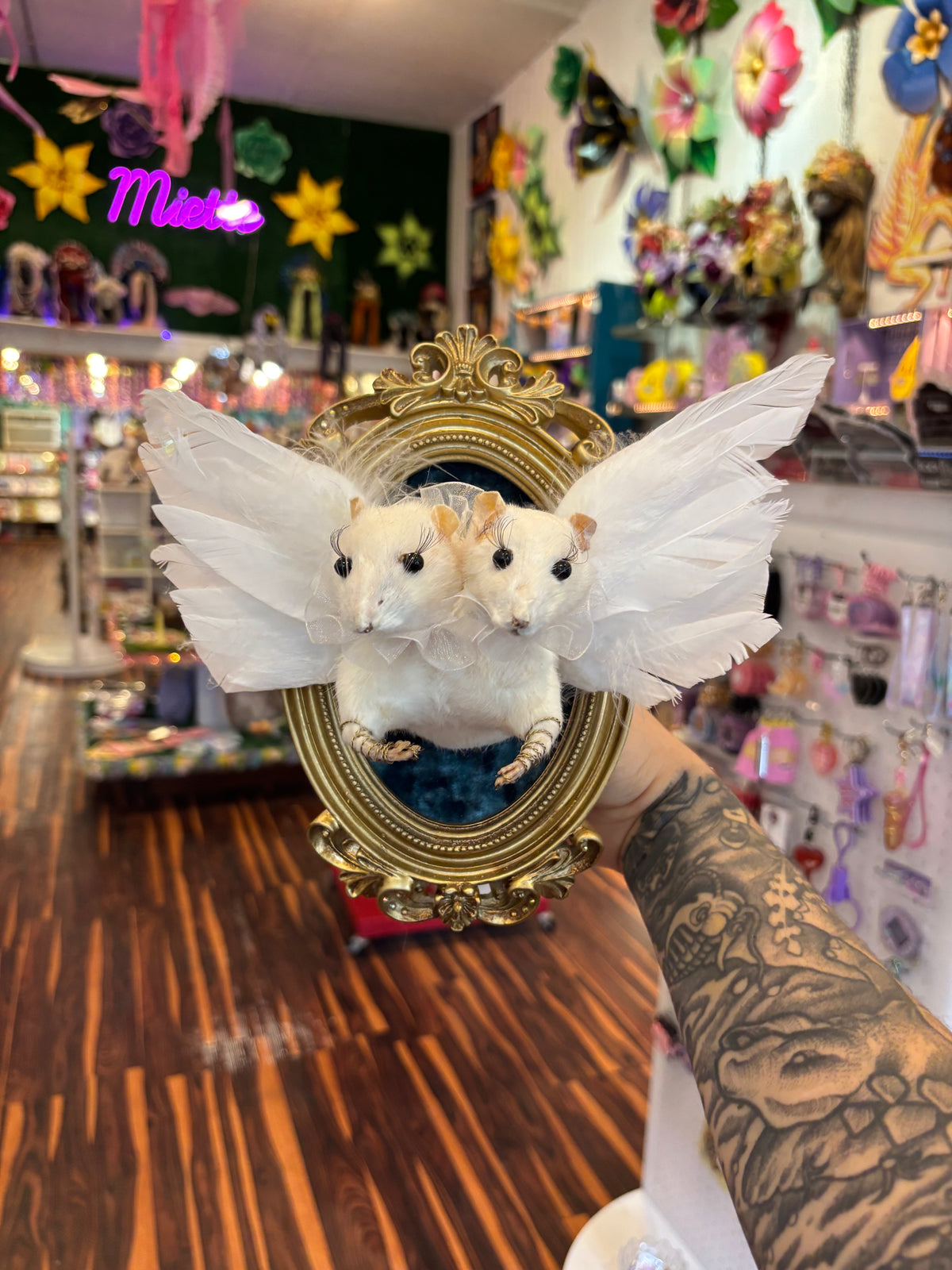 2 Headed Angel Rat Taxidermy