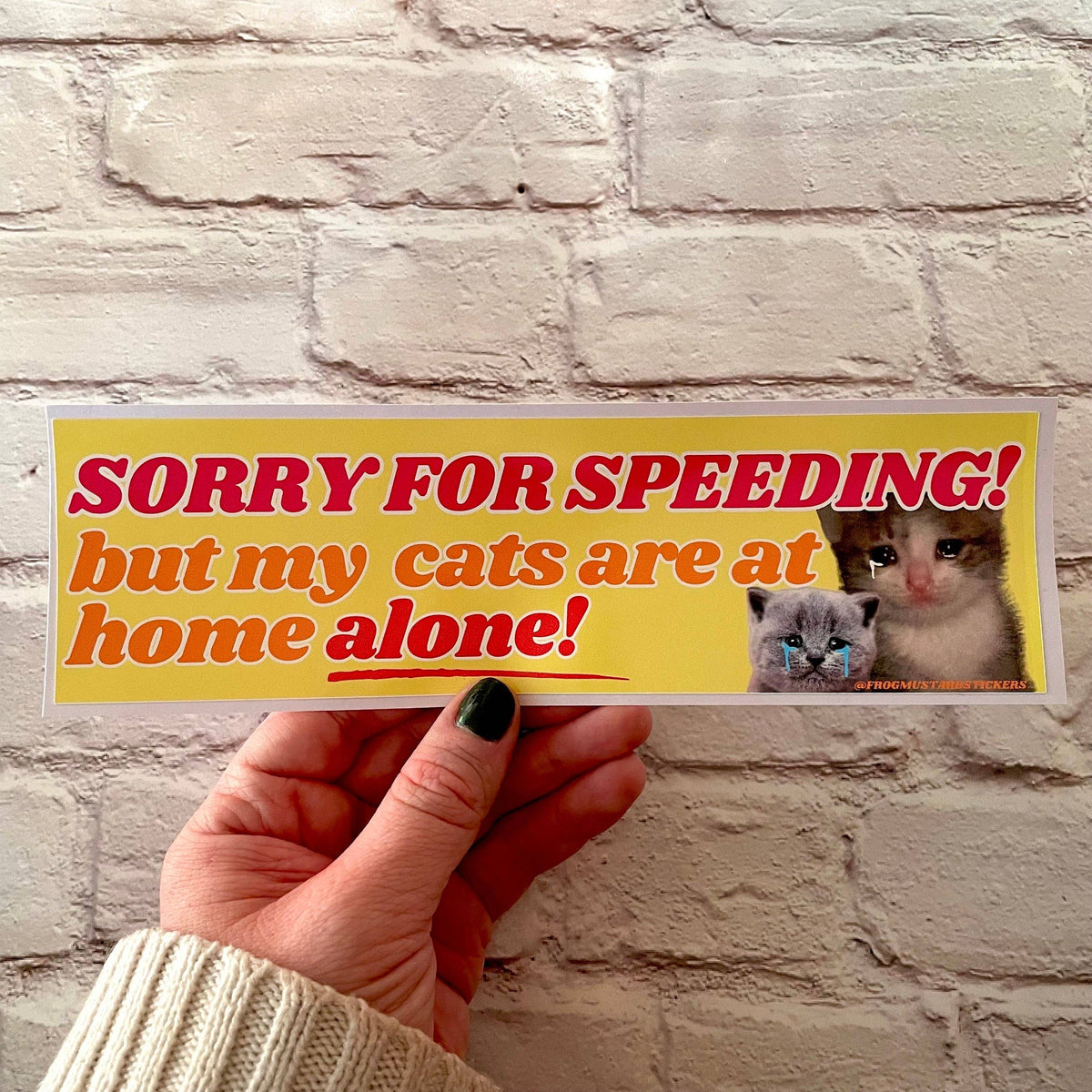 Sorry for speeding! But my cats (plural) are at home alone! Magnet
