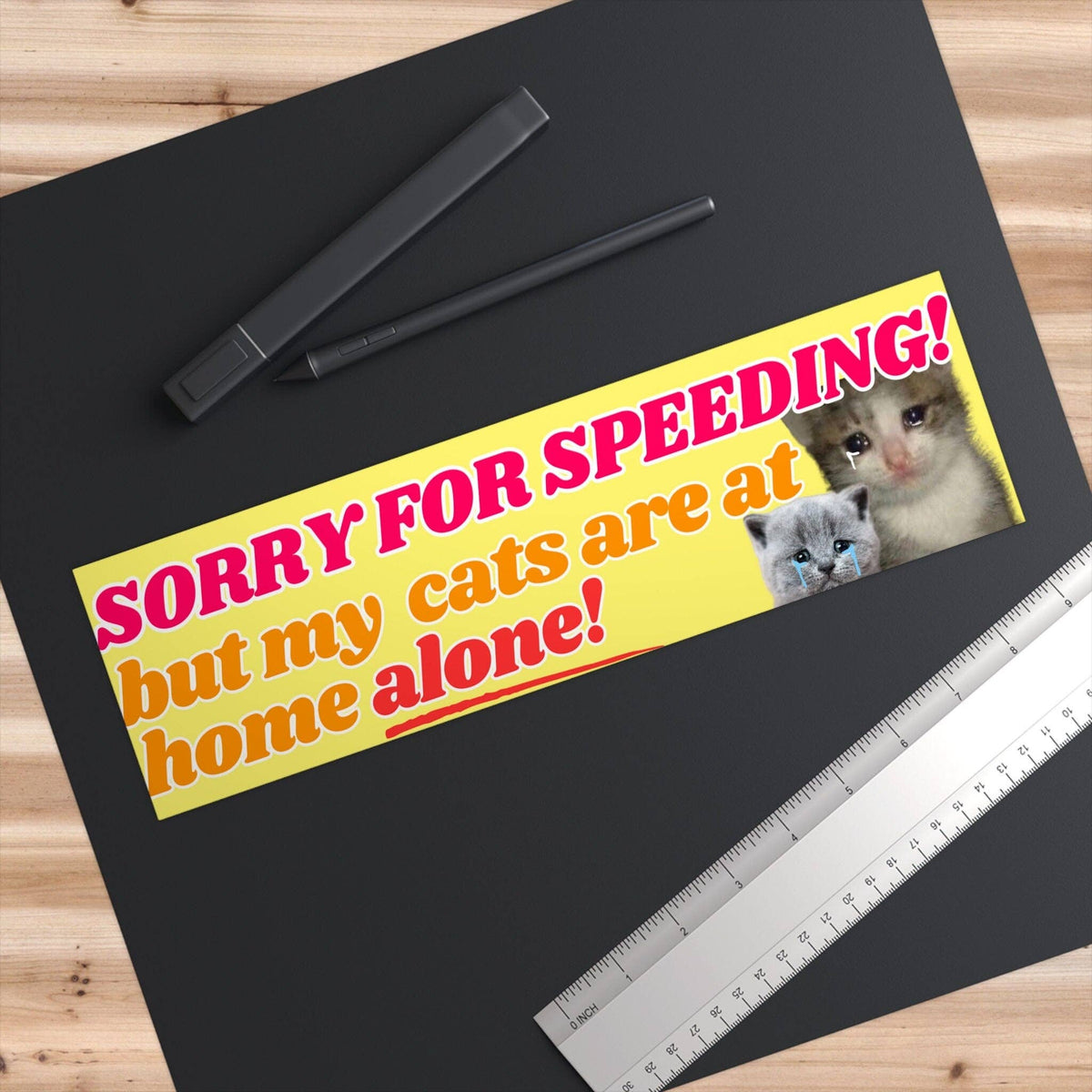 Sorry for speeding! But my cats (plural) are at home alone! Magnet