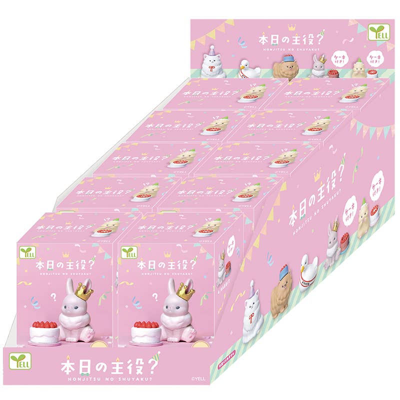 【JAPANESE BLIND BOX】THE STAR OF THE DAY?