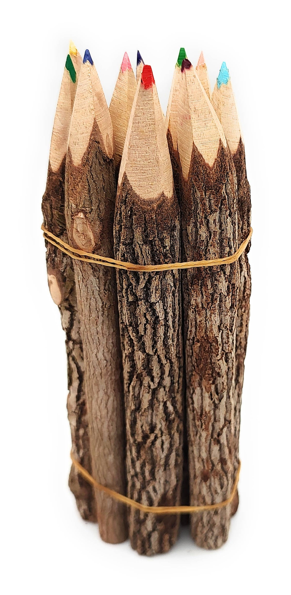 7 Inch Color Jungle Vine Pencils