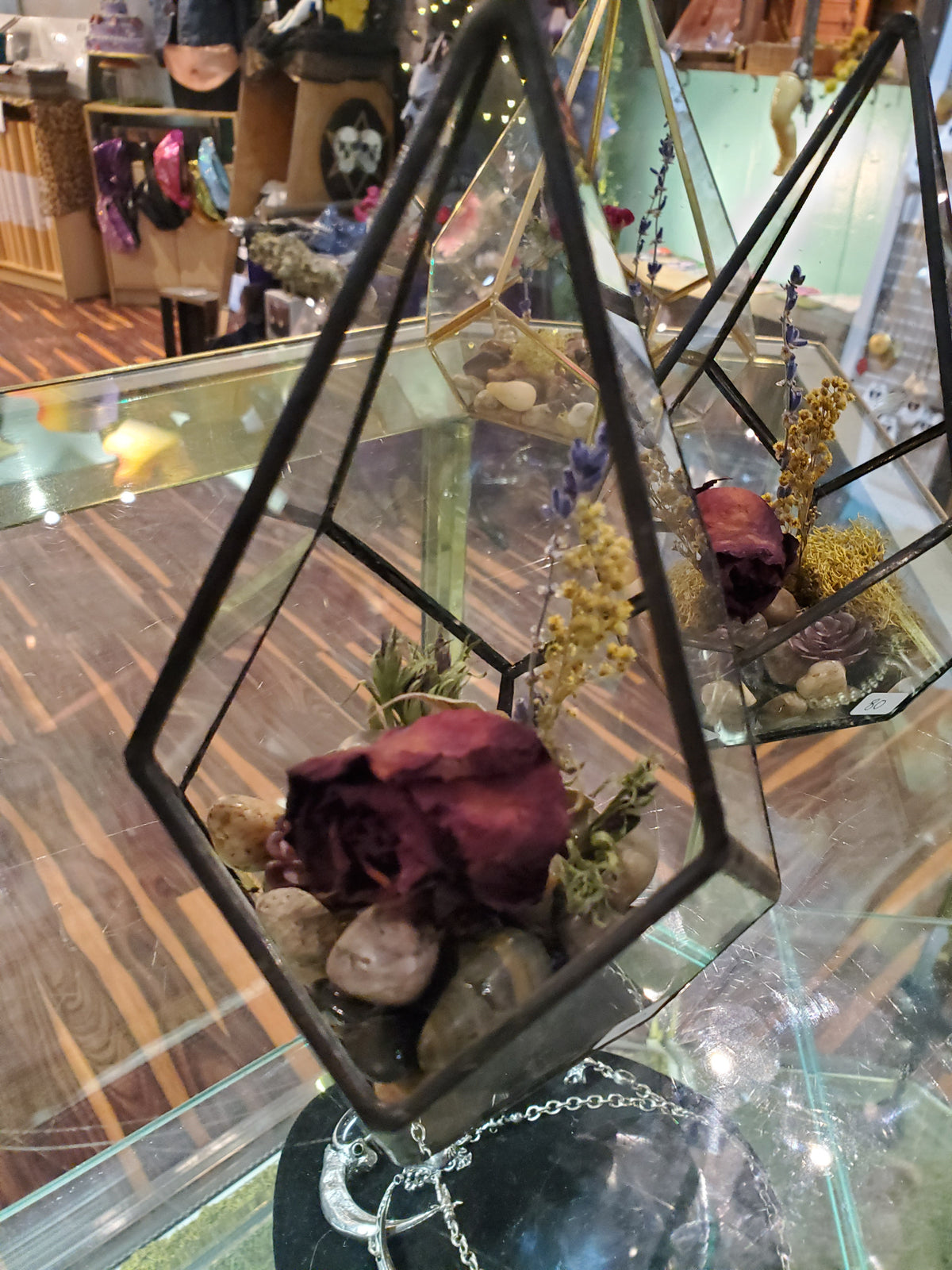 Rose Bud Geometric Terrarium