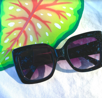 XL Bardot Sunglasses