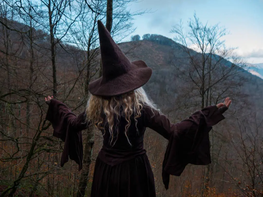 Brown Witch hat wizard magic wool Felt witchy dark academia