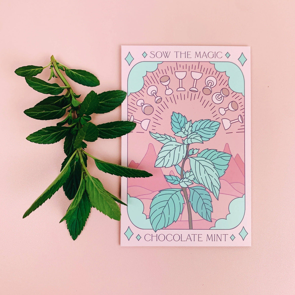 Peppermint Tarot Garden + Gift Seed Packet