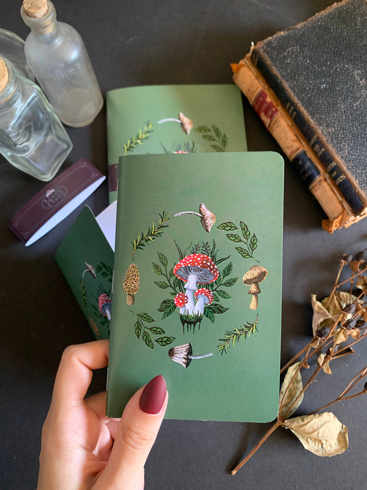 Mushroom Notebooks - Lined & Blank - Small & Large