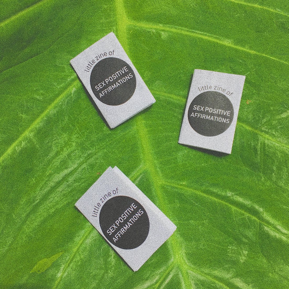 Little Zine of Sex Positive Affirmations