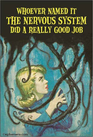 MAGNET: Whoever named it 'The Nervous System'