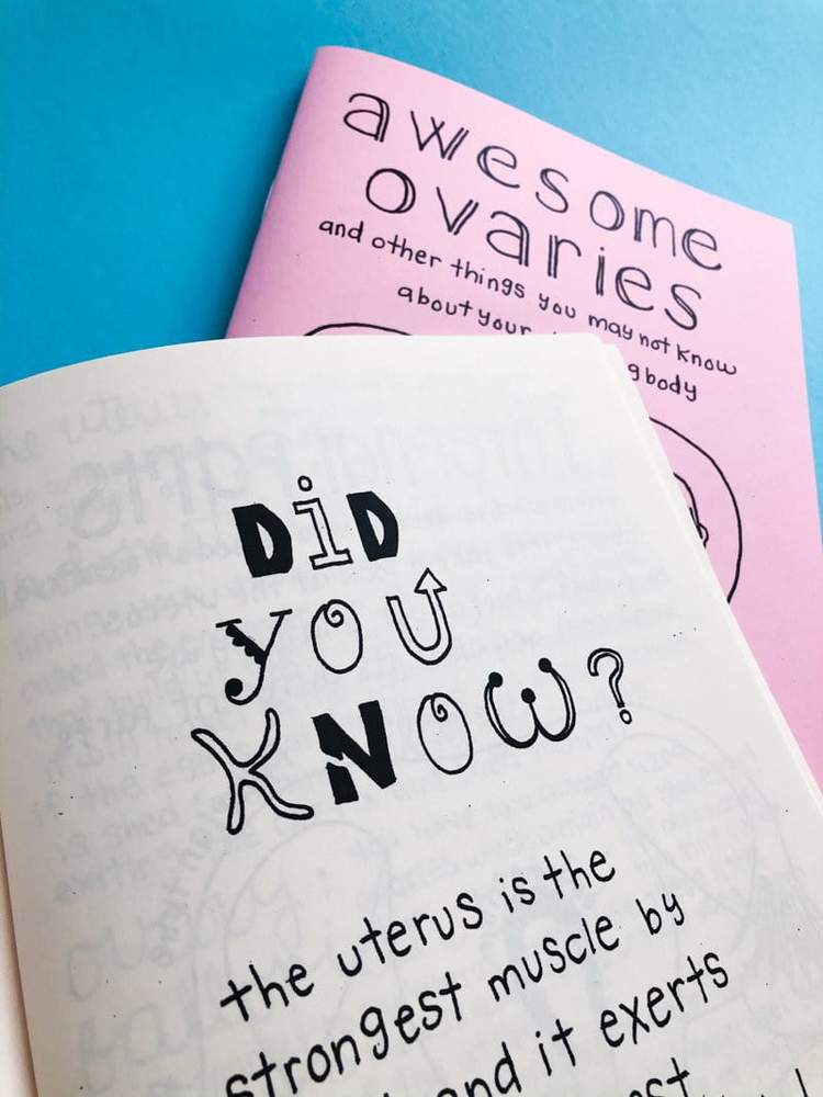Awesome Ovaries (Good Life) Zine