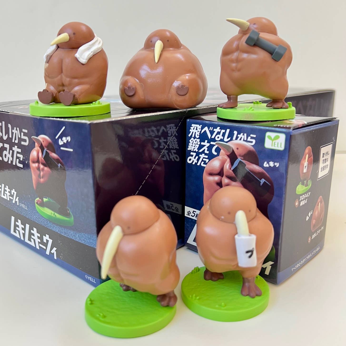 73094 Muscular Kiwi Blind Box-10
