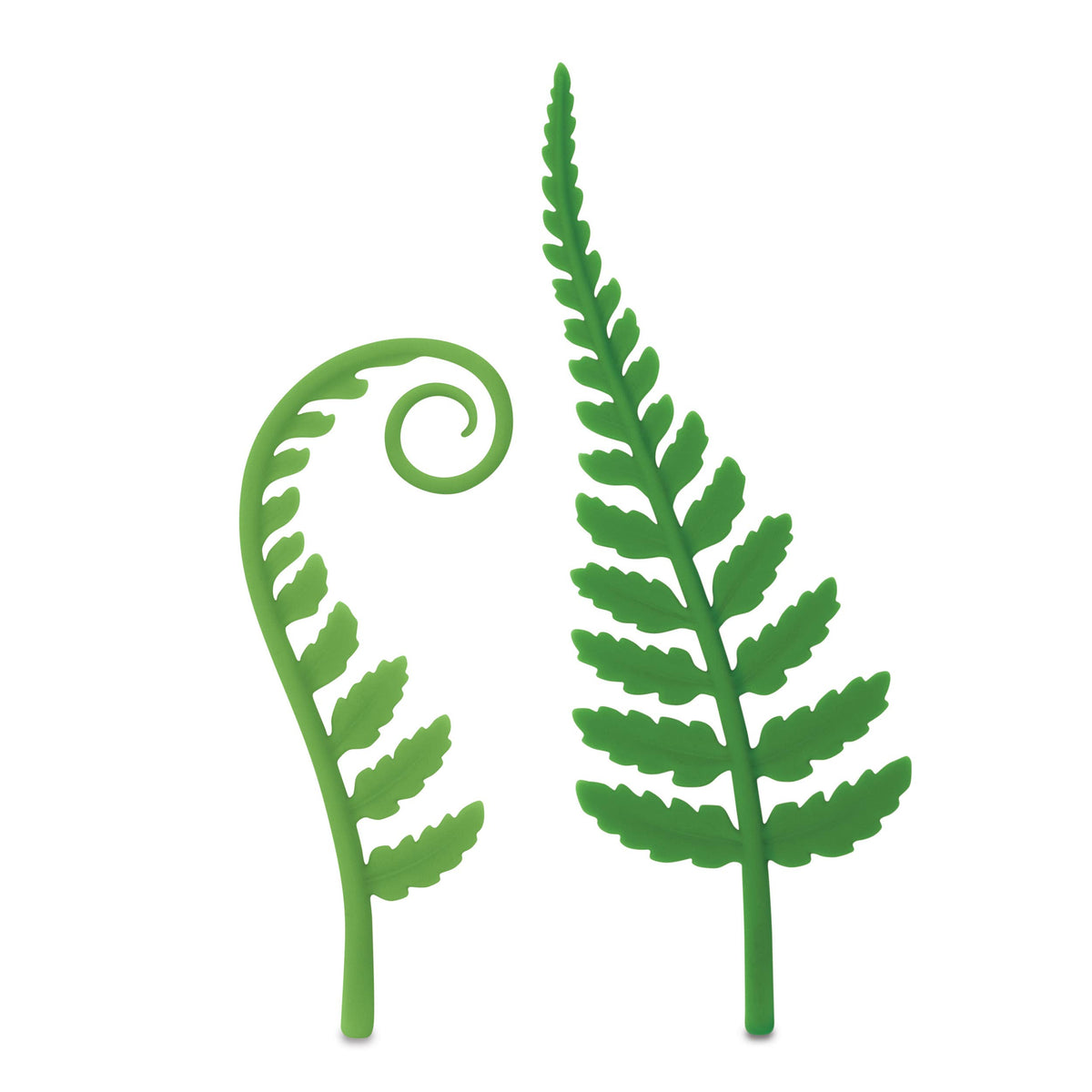 WOODLAND SPROUTS - Fern Bookmarks - Set of Two