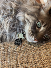 LITTLE FAMILIAR PET TAGS