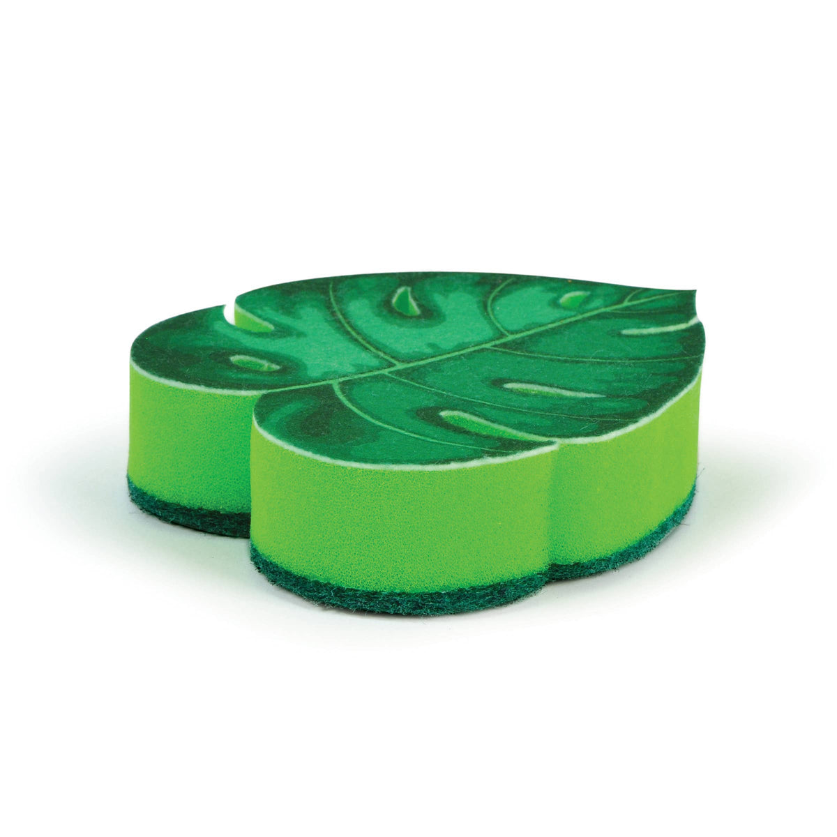 Sponges - House Plant-1