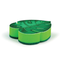 Sponges - House Plant-1