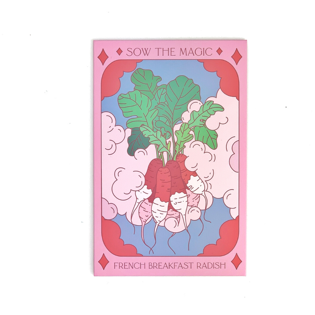 French Breakfast Radish Tarot Garden + Gift Seed Packet