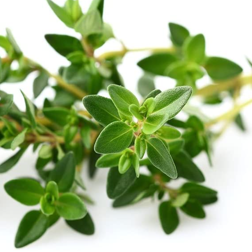 Garden Thyme Tarot Garden + Gift Seed Packet