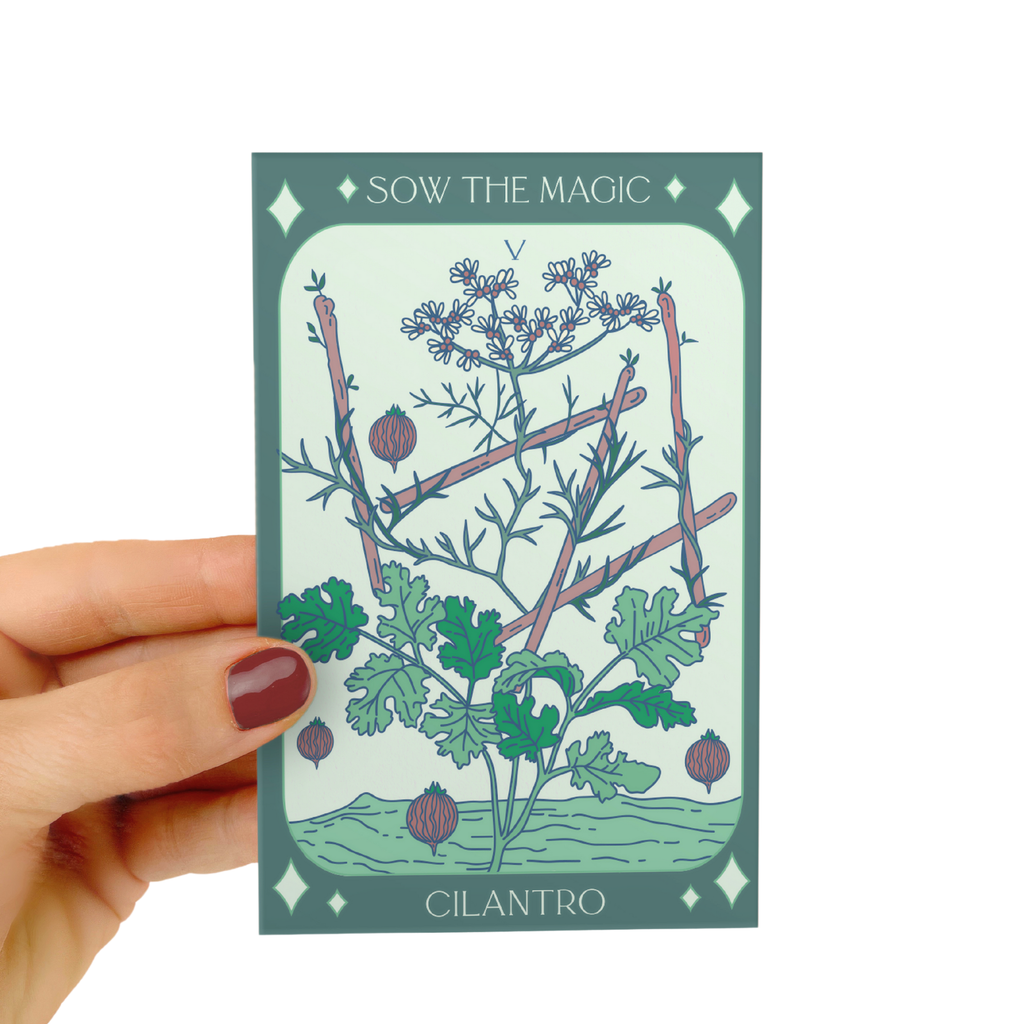 Cilantro Coriander Tarot Garden + Gift Seed Packet