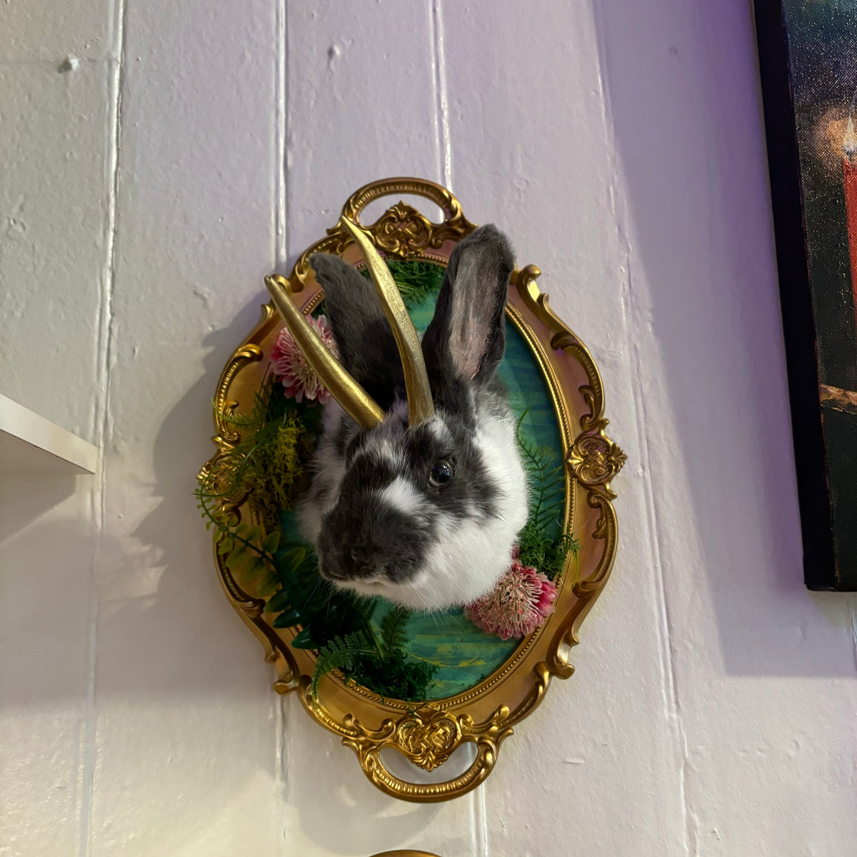 White/Brown Jackalope Botanical Series Taxidermy