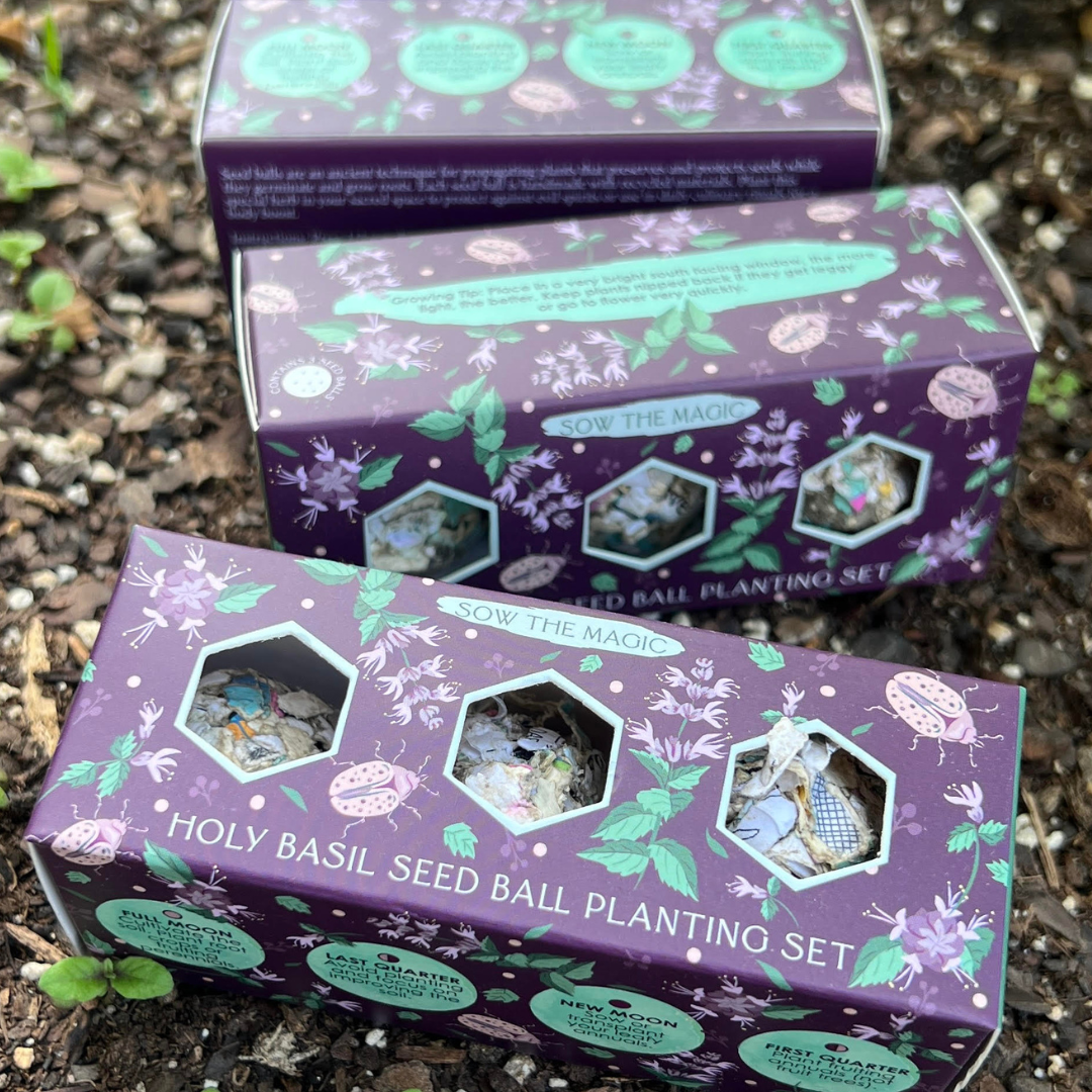 Protection (Holy Basil) Mini Seed Ball Gift Box Set