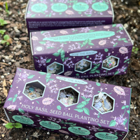 Protection (Holy Basil) Mini Seed Ball Gift Box Set