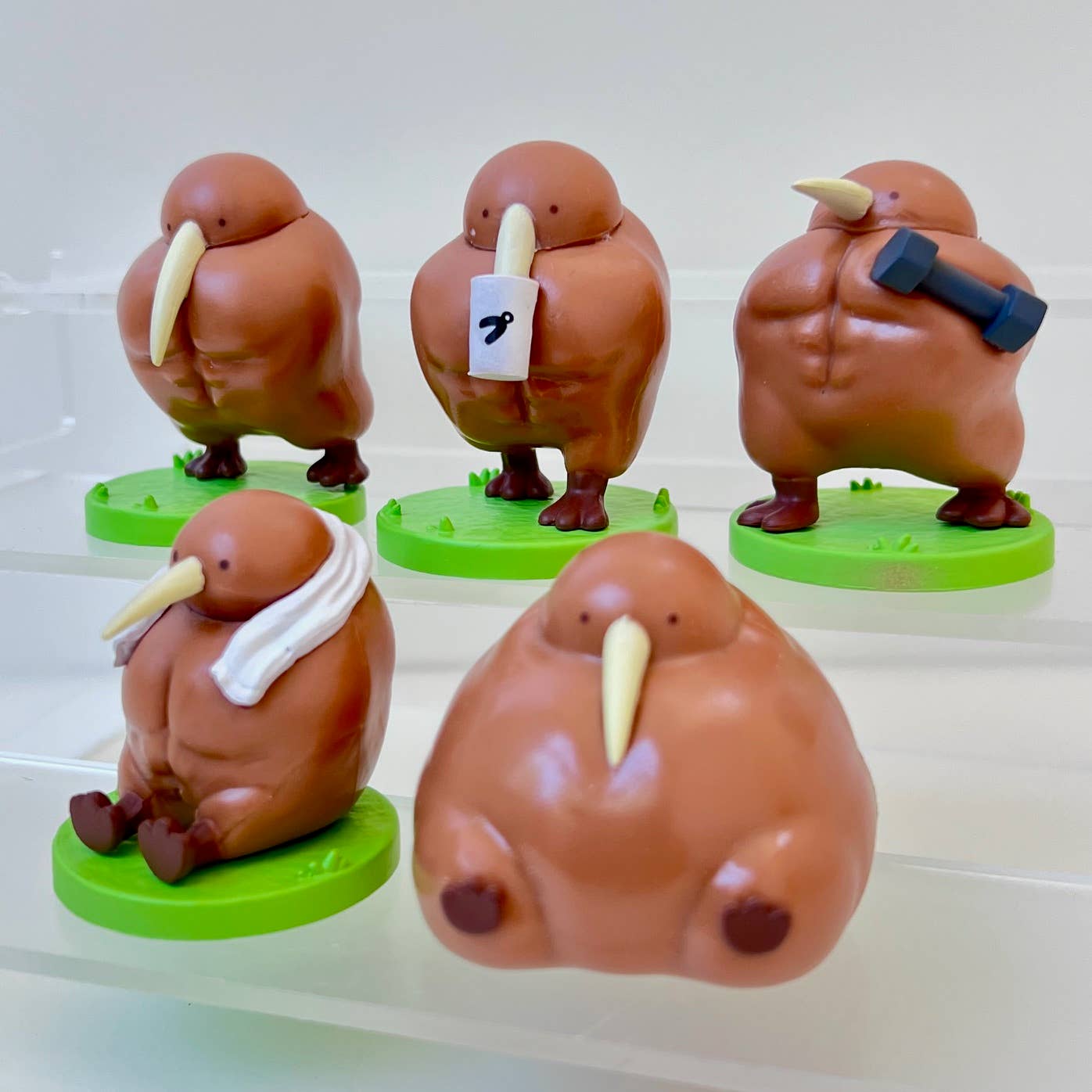 73094 Muscular Kiwi Blind Box-10