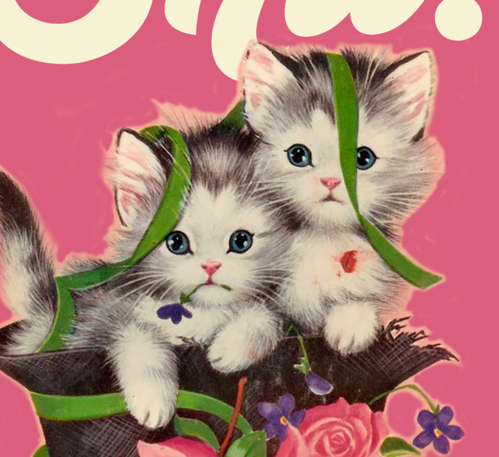 SHIT! kittens funny greeting card