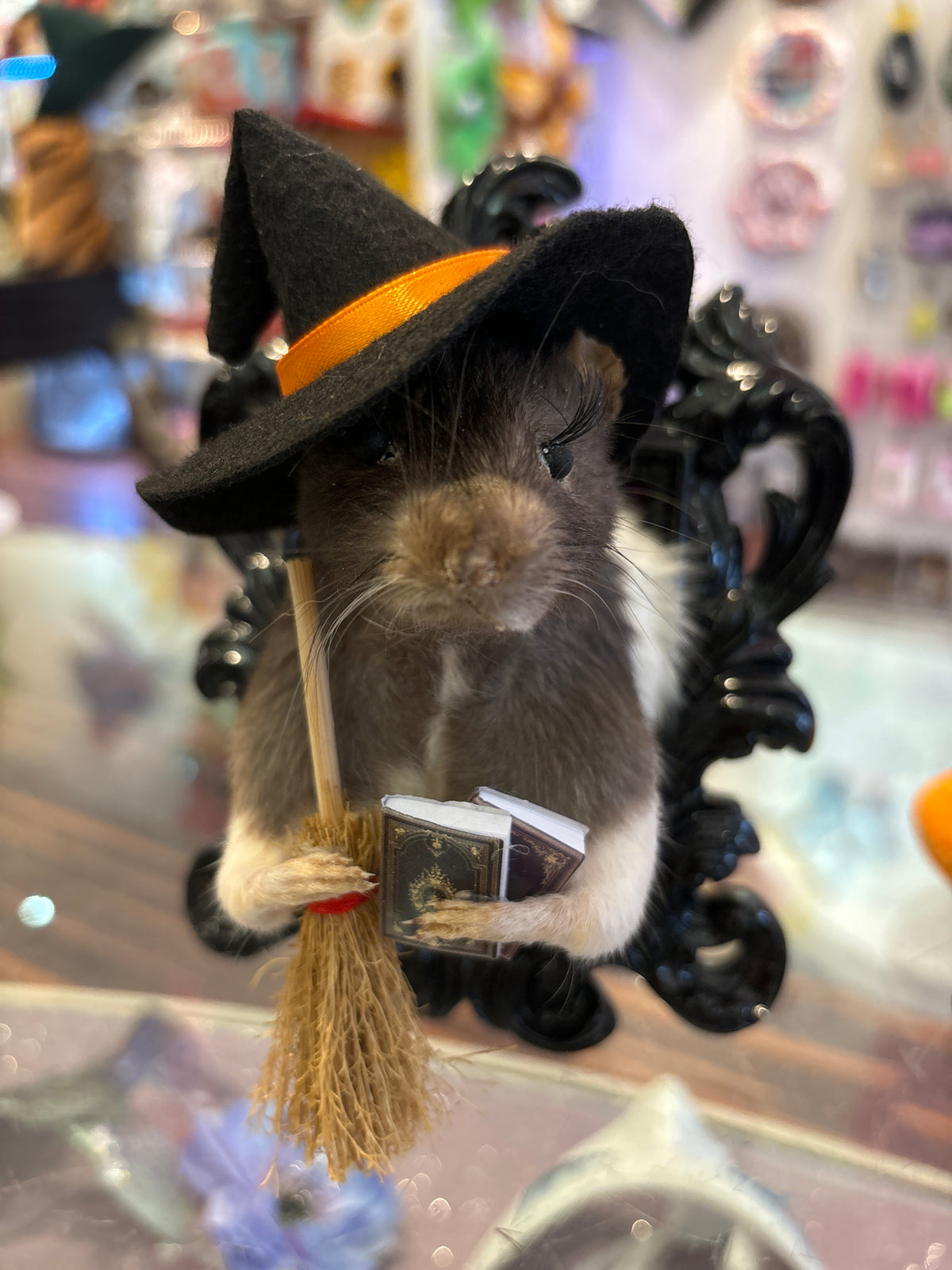 Witch Rat Taxidermy