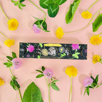 Moon Phase Abundance Seed Ball Planting Set