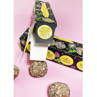 Moon Phase Abundance Seed Ball Planting Set