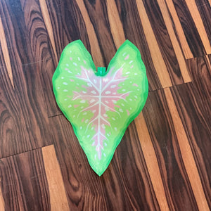 Caladium Leaf
