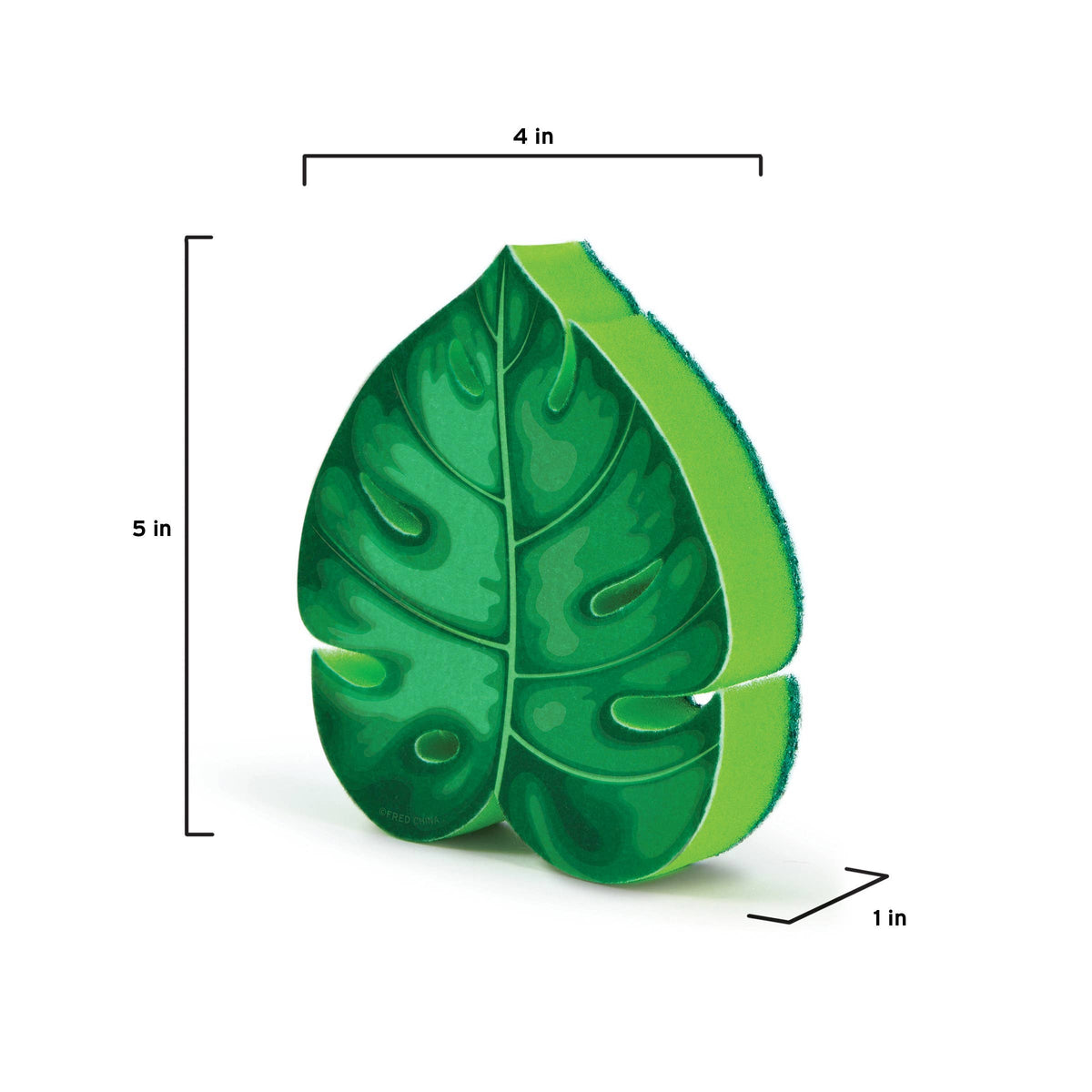 Sponges - House Plant-1