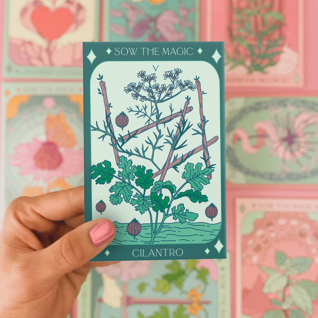 Cilantro Coriander Tarot Garden + Gift Seed Packet
