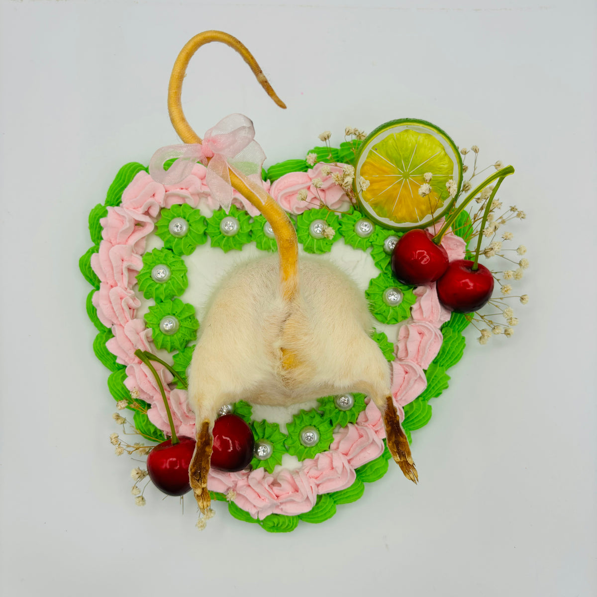 Cherry Limeade Cake Taxidermy Rat Butt