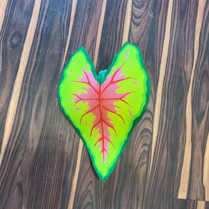 Caladium Leaf