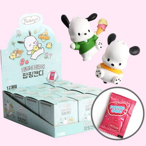 Sanrio Pochacco Picnic Theme Collectable Mystery FigureCharm