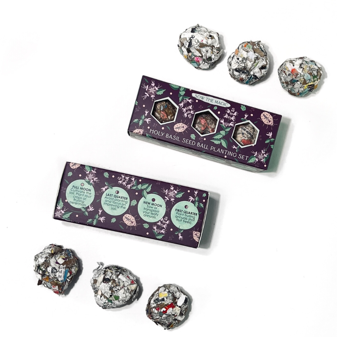 Protection (Holy Basil) Mini Seed Ball Gift Box Set