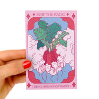French Breakfast Radish Tarot Garden + Gift Seed Packet