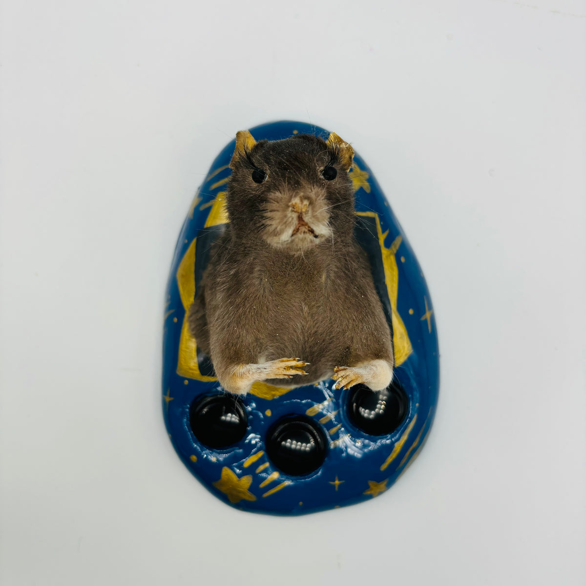 Celestial Tama Taxidermy Rat