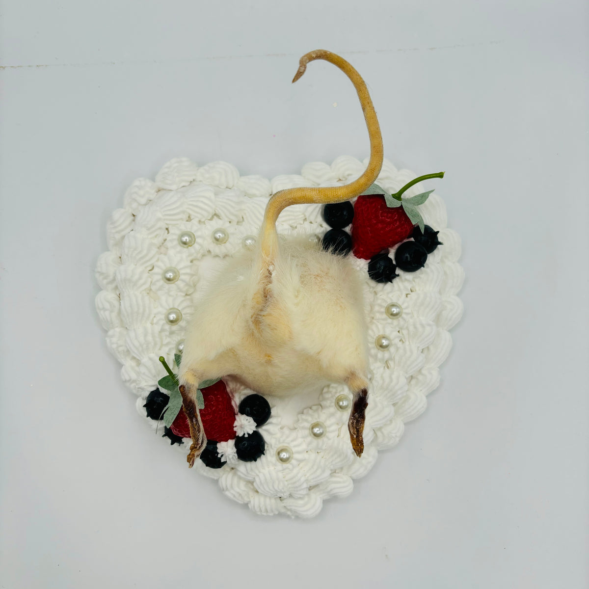 Berry Chantilly Cake Taxidermy Rat Butt