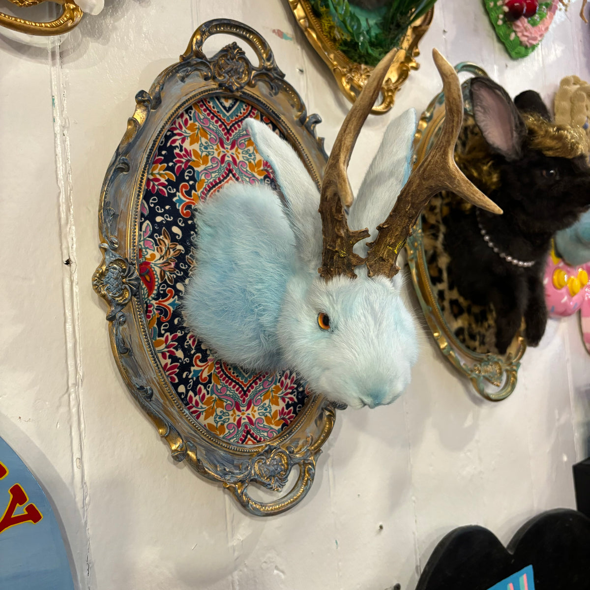 Blue Jackalope Taxidermy