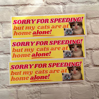 Sorry for speeding! But my cats (plural) are at home alone!