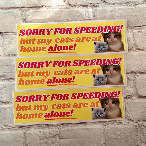Sorry for speeding! But my cats (plural) are at home alone!