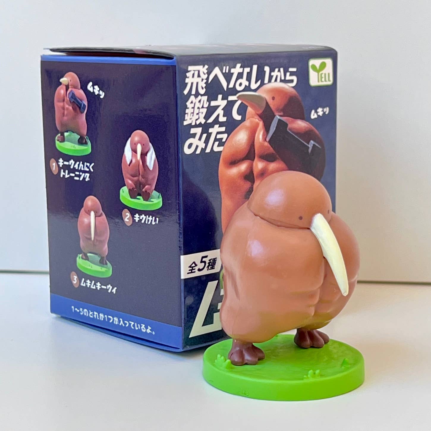 73094 Muscular Kiwi Blind Box-10